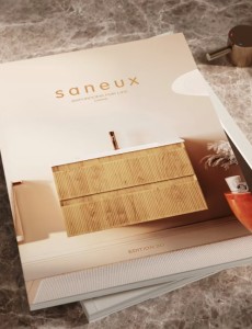 Saneux